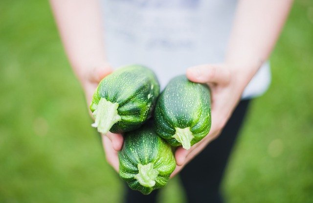 zucchinis-gfe5dc34e0_640